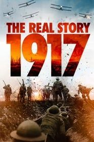 1917: The Real Story series tv