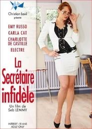 La secrétaire infidèle (2013)