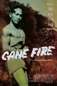 Cane Fire series tv