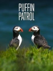 Puffin Patrol series tv