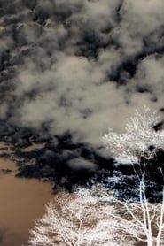Image Clouds and Trees 2020