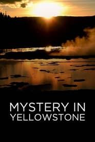 Image Mystery in Yellowstone