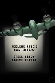 Steel Birds Above Idrija (2018)