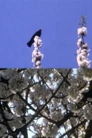 Mourning Garden Blackbird (1984)