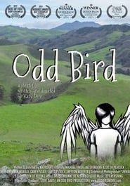 Odd Bird series tv