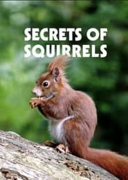 Secrets of Squirrels series tv
