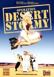 Image Operation: Desert Stormy 2007