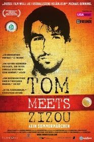 Tom meets Zizou - Kein Sommermärchen series tv
