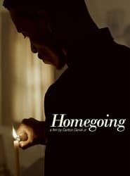 Homegoing 2020 streaming