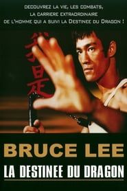 Bruce Lee - La Destinée du Dragon series tv