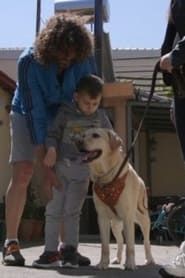 Dogs That Change Lives series tv