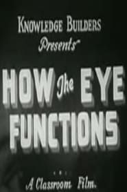 How the Eye Functions series tv