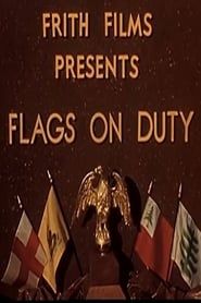 Flags on Duty series tv
