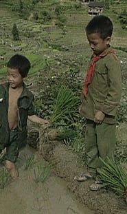 龙脊 (1994)