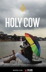 Image Holy Cow