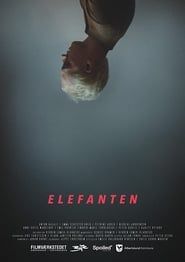 Elefanten (2017)