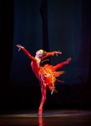 Miami City Ballet's The Firebird series tv
