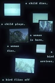 Image A child dies, a child plays, a woman is born, a woman dies, a bird arrives, a bird flies off