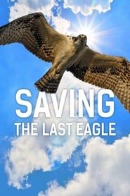 Image Saving The Last Eagle