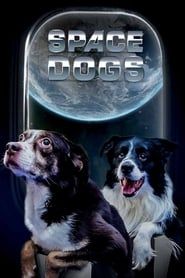 Image Space Dogs 2017