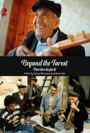 Beyond the Forest series tv