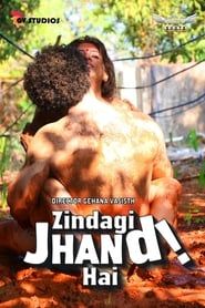 Zindagi Jhand Hai series tv