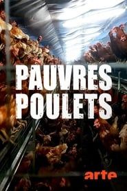 Image Pauvres poulets : Une géopolitique de l'oeuf 2019
