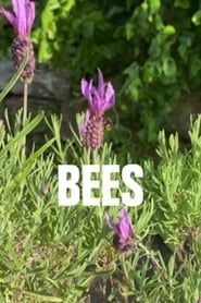 Bees series tv