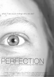 PERFECTION series tv