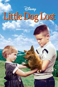 Little Dog Lost series tv