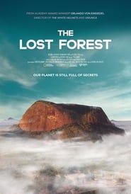 The Lost Forest series tv