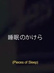 Pieces Of Sleep: The 1993 Japan Tour Re-Imagined series tv