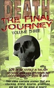 Image Death The Final Journey Vol. 3