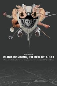 Blind Bombing, Filmed by a Bat series tv