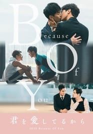Because of You series tv