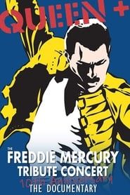 Image Queen - The Freddie Mercury Tribute Concert 10th Anniversary Documentary