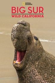 Big Sur-Wild California series tv