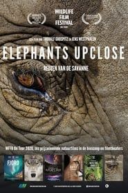 Elephants Up Close series tv
