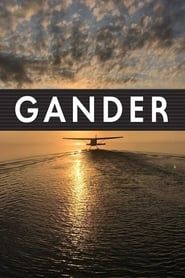 Gander International: The Airport in the Middle of Nowhere-hd