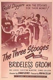 Brideless Groom series tv