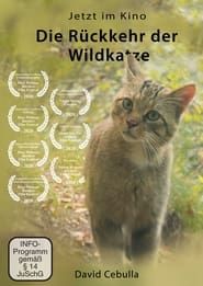 Affiche de The Return of the Wildcat