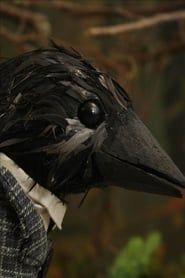 Image The Crow Who Wore A Suit And Worked In An Office 2011