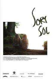 Sort sol (2014)