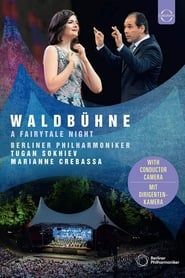Image Waldbühne 2019: A Fairytale Night