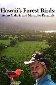 Image Hawaii's Forest Birds: Avian Malaria and Mosquito Research