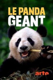 Le panda géant-hd