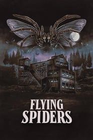 Affiche de Flying Spiders