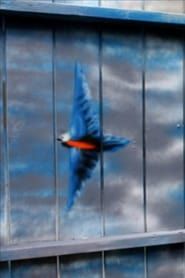 Spirit of the Bluebird (2011)