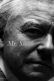 Mr. Smith series tv