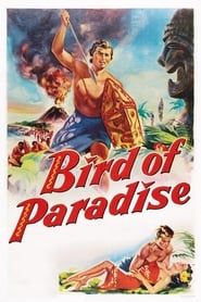 Bird of Paradise-hd